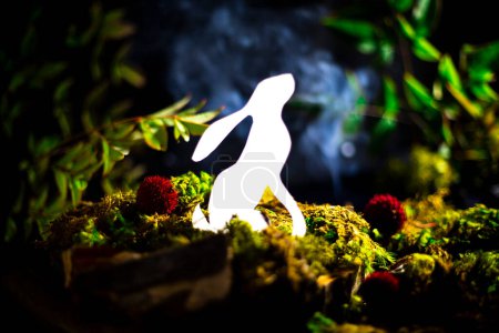 Foto de Glowing white rabbit in a magical still life set in the woods. Year of the rabbit concept. - Imagen libre de derechos