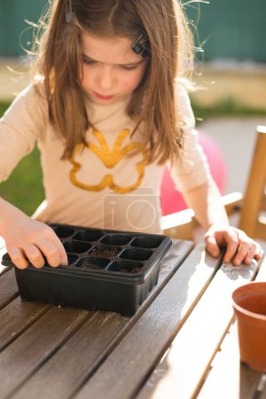 Photo for Caucasian child girl gardening and planting seeds in seedbed. Vertical shot. Environmental education concept. - Royalty Free Image