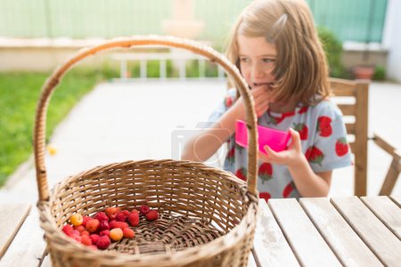 Foto de Niña caucásica comiendo bayas de una cesta de frambuesas en el jardín casero. Disparo vertical. - Imagen libre de derechos