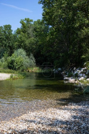 Photo for Landscape with clear little stream and trees in Parco del Ticino, Italy. Vertical shot. - Royalty Free Image