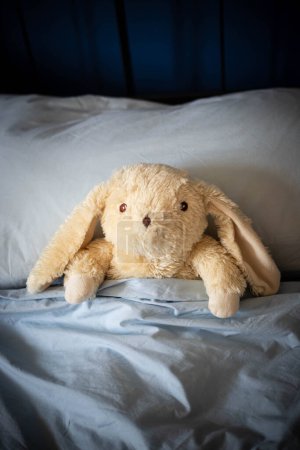 White bunny plush toy laying under covers in parents bed with blue blankets and soft day light. central view, vertical shot.
