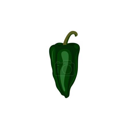 Illustration pour Poblano pepper Capsicum annuum is a mild chili pepper,  ancho or chile ancho. - image libre de droit