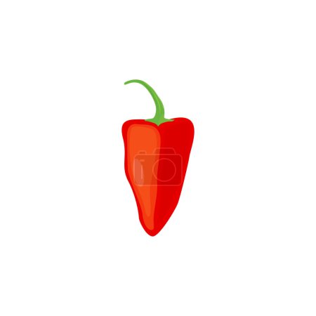 Ilustración de Piquillo pepper or chili pepper. Pimiento pepper. Pimiento del piquillo.Vector illustration isolated on white background. For template label, packing, web, menu, logo, textile, icon - Imagen libre de derechos