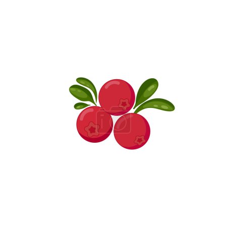 Téléchargez les illustrations : Cranberry. Cranberry with leaves, red wild berries. Vector illustration isolated on white background. For template label, packing, web, menu, logo, textile, icon - en licence libre de droit