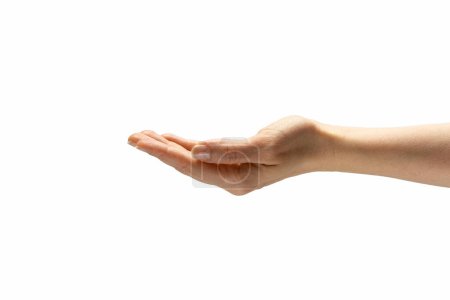 Téléchargez les photos : La main d'une femme montre un geste d'un objet invisible sur un fond blanc isolé. Place pour la publicité. Espace de copie. - en image libre de droit