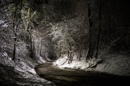 Photo for A forest road in a valley of snow-frosted trees illuminated by the light of a lantern - Royalty Free Image