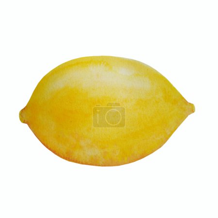 Téléchargez les photos : Citron dessiné à la main à l'aquarelle sur fond blanc. - en image libre de droit
