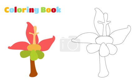 Illustration for Coloring page. Amazing fantastic plant. - Royalty Free Image