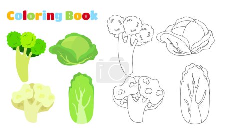 Illustration for Coloring page. Set of vegetables cabbage, broccoli, cauliflower and Chinese cabbage. - Royalty Free Image