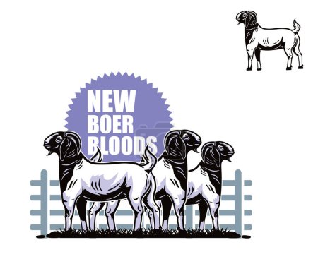 great boer goat logo, silhouette of healthy ram standing