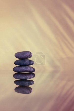 Pebbles, palm leaf, reflection. Calm and relax concept.