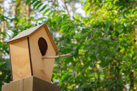 Bird house on a tree. Wooden feeder in the forest. Wildlife protection. Forest landscape. Hanging birdhouse in woods. Wild birds concept. Shelter for birds. Wildlife concept. 