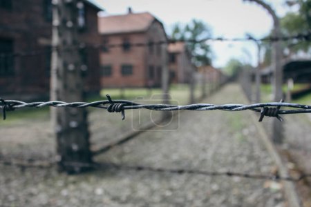 Concentration camp Auschwitz, Oswiecim. Barbed wire fence with barrack on background. Holocaust memorial. Symbol of fascism violence. Jewish genocide. Death camp museum. Nazi prison. Jail concept. 