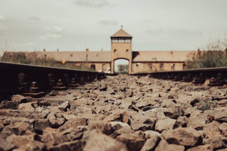 Gate to concentration camp Auschwitz, Oswiecim. Rail entrance to Auschwitz. Holocaust memorial. Symbol of fascism violence. Jewish genocide. Death camp museum. Nazi prison. Jail concept. 