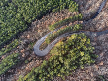 Top-down view of an hairpin bend in the middle of a forest.