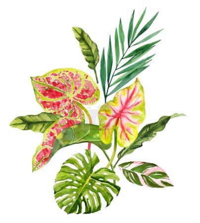 Téléchargez les photos : Aquarelle dessinée à la main composition bouquet de feuilles tropicales de forêt tropicale. Illustration botanique isolée sur fond blanc. Aquarelle peinte à la main clip art floral - en image libre de droit