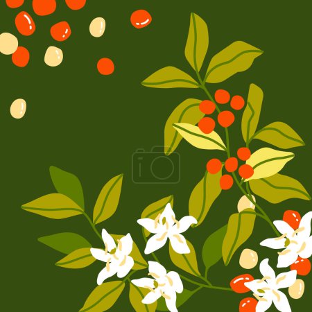 Vector hand painted cafe tasty specialty coffee plant, leaves, berries and flowers illustration. Cute flat simple hand drawn icon composition, premade poster, banner