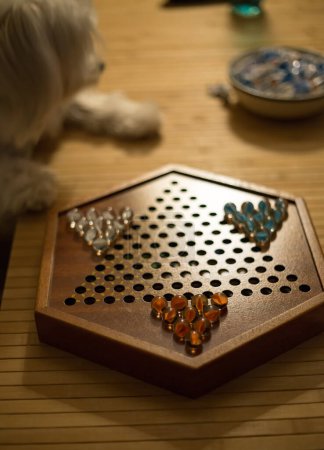 interessantes Brettspiel, chinesische Dame, auf dem Tisch liegend, im Hintergrund ist der Hund unscharf