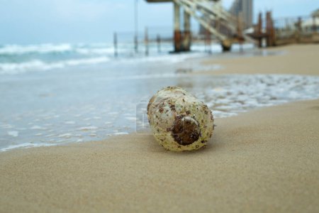 Photo for On the shore of the Mediterranean Sea, on the sand, on the beach, lies a plastic bottle with shells on it - Royalty Free Image