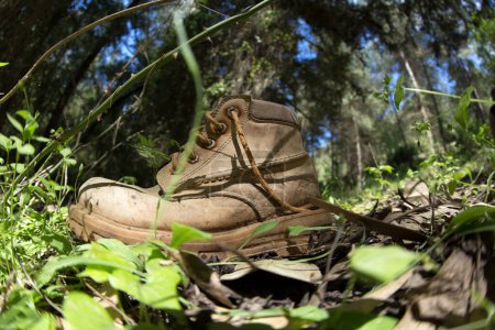 Foto de Desgarrado zapato desgastado tirado en el bosque mientras camina, zapatos de mala calidad, daños - Imagen libre de derechos