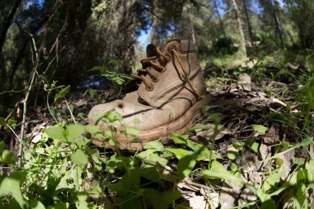 Foto de Zapato marrón con cordones, rasgado y dejado en el bosque porque no era necesario, basura en la naturaleza - Imagen libre de derechos