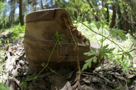 einsamer Schuh im Wald, verlassen und nicht gebraucht, ohne Paar und beschädigt, Einsamkeit