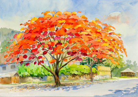 Téléchargez les photos : Peinture originale abstraite de paysage aquarelle rouge, couleur orange de fleur de paon et fond nuage. - en image libre de droit
