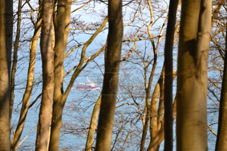 Téléchargez les photos : Parc national Jasmund forêt primitive, bateau dans la mer Baltique, île de Rugen, Allemagne - en image libre de droit