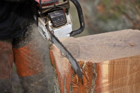 Photo for Man cutting wood with chainsaw - Royalty Free Image