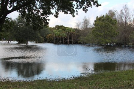 Photo for South Florida flooding from thunderstorm - Royalty Free Image
