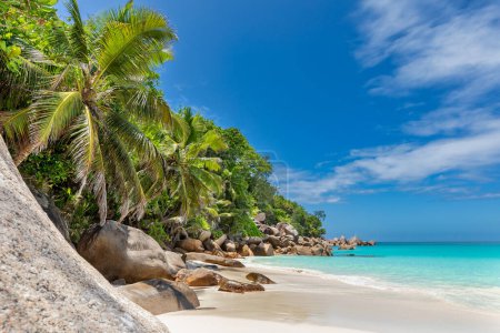Photo for Beach Anse Georgette, Praslin, Seychelles - Royalty Free Image