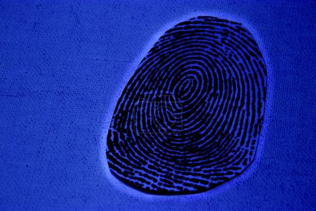 Photo for A large outlined fingerprint with a blue background - Royalty Free Image