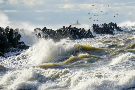 Photo for Coastal storm in the Baltic Sea, big waves crash against the concrete breakwater at the port entrance, breaking wave, extreme weather - Royalty Free Image