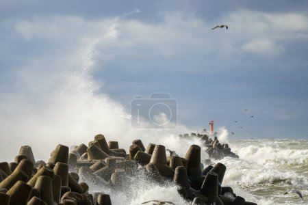 Photo for Storm at sea, high waves crashing against the concrete breakwaters of the port, high white splashes, seagulls flying, hurricane storm, power of nature - Royalty Free Image