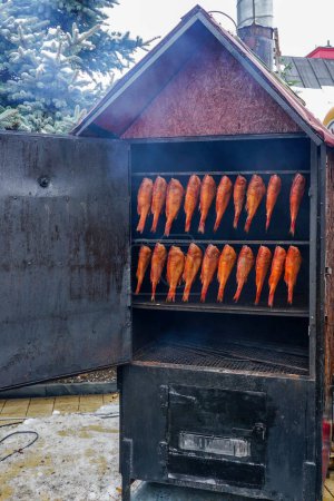Perche rouge fumée chaude fraîche appétissante, poisson de bar suspendu dans un fumoir métallique extérieur spécial, foire dans la ville de la côte de la mer Baltique