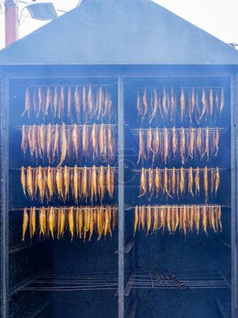 Fresh hot smoked smelt fish hanging in a special outdoor metal smoking cabinet, opened smokehouse, fair in the city of the Baltic Sea coast