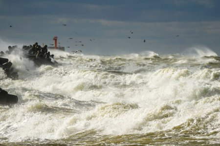 Hurrikan-Szene, eine Möwe fliegt über Wellen und plätschert während eines Küstensturms, stürmischer Meerblick, ausgewählter Fokus