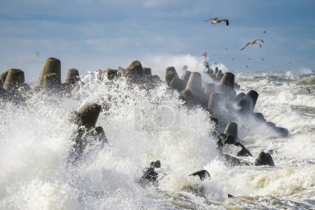 Storm at sea, high waves crashing against the concrete breakwaters of the port, white splashes, seagulls flying, hurricane storm, power of nature