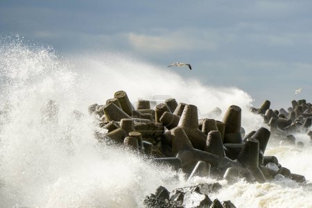 Grandes olas rompiendo el rompeolas, mar tormentoso, rompiendo olas, salpicaduras de olas, mal tiempo, temporada de huracanes, tormenta costera