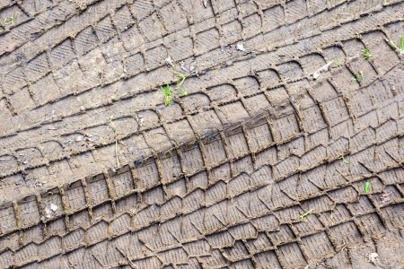 Reifenprofil-Abdrücke im Matsch, Radprotektor markiert Textur, Reifenspuren im Matsch, Reifenabdrücke auf nasser, matschiger Straße