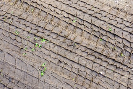 Reifenprofil-Abdrücke im Matsch, Radprotektor markiert Textur, Reifenspuren im Matsch, Reifenabdrücke auf nasser, matschiger Straße