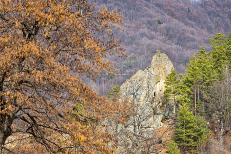 Photo for The Dionisie Torcatorul monk cave, in Nucu village, Bozioru, Buzau county, Romania - Royalty Free Image