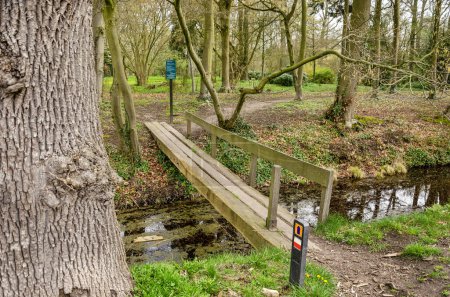 Small wooden bridge for hikers across a ditch near Breukelen, The Netherlands