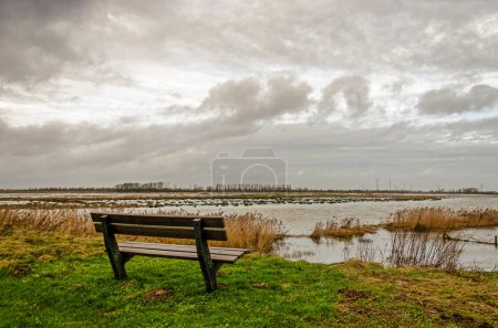 Photo for Wooden bench with a view of the inundation zone in the Noordwaard region in Biesbosch national park in the Netherlands, as part of the Room for the River flood protection scheme - Royalty Free Image