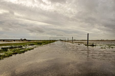 Foto de Werkendam, Países Bajos, 29 de diciembre de 2024: vista baja del umbral en el que el agua fluye desde las llanuras de inundación del río hacia los canales secundarios como parte del proyecto Room for the river en la región de Noordwaard en el parque nacional Biesbosch - Imagen libre de derechos