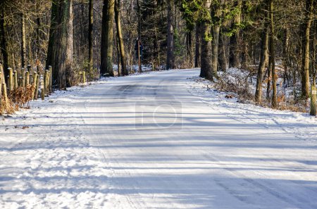 Photo for Curving road, covered with snow and ice, in a forest near Achel, Belgium, in winter - Royalty Free Image