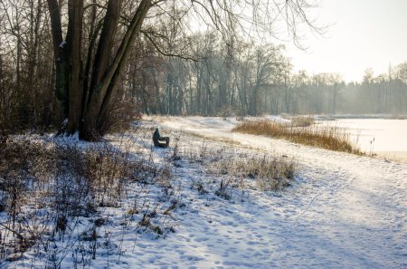Photo for Path with wooden bench along a frozen lake in a forest near Achel, Belgium - Royalty Free Image