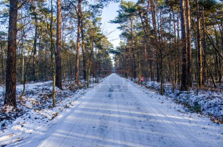 Photo for Long straight road, covered with snow and ice, in a forest near Achel, Belgium - Royalty Free Image