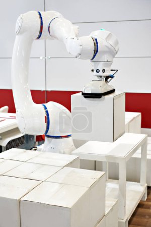 Standard multipurpose robot and cardboard boxes