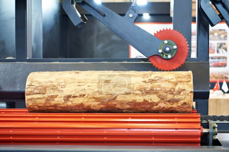Log in wood working machine in factory